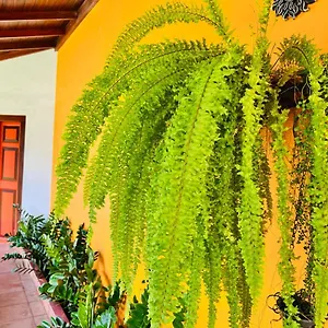 Breeze Of Paradise Nugegoda